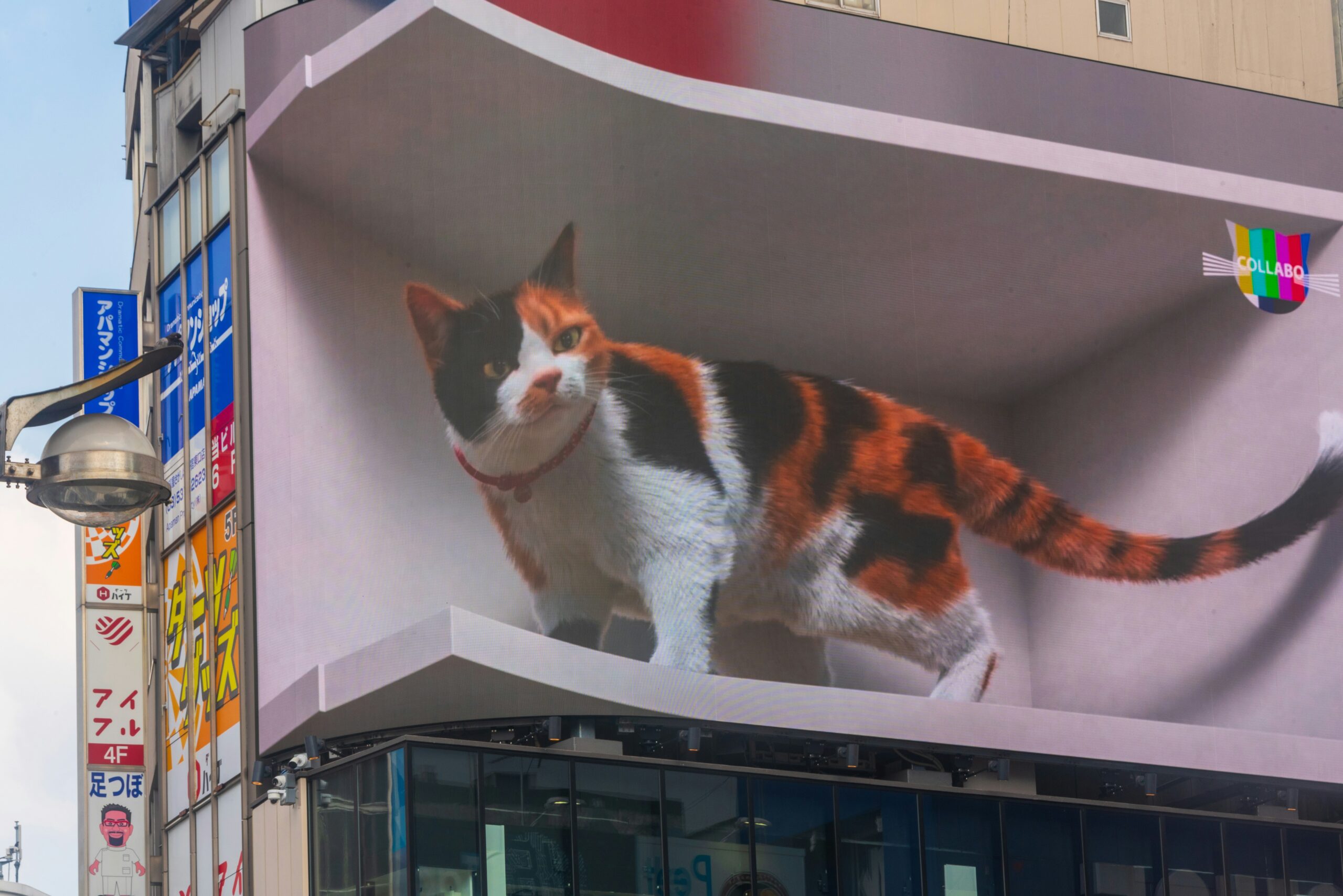 A picture of a cat on the side of a building